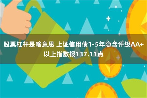 股票杠杆是啥意思 上证信用债1-5年隐含评级AA+以上指数报137.11点