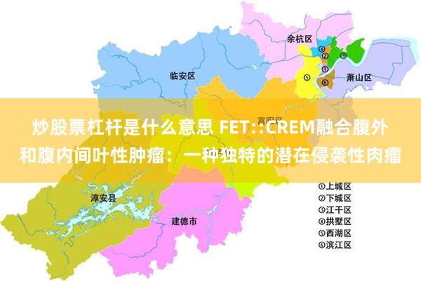 炒股票杠杆是什么意思 FET::CREM融合腹外和腹内间叶性肿瘤：一种独特的潜在侵袭性肉瘤