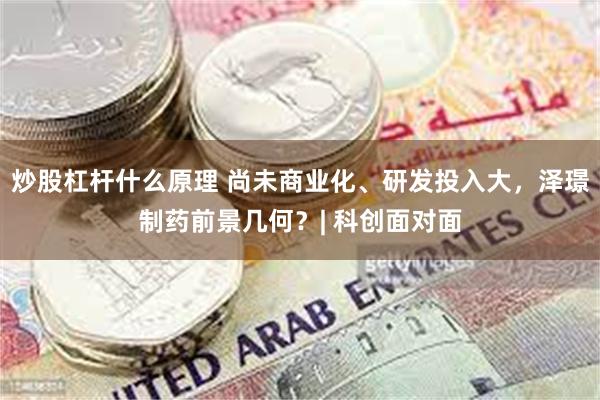 炒股杠杆什么原理 尚未商业化、研发投入大，泽璟制药前景几何？| 科创面对面