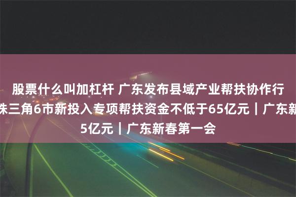 股票什么叫加杠杆 广东发布县域产业帮扶协作行动计划，珠三角6市新投入专项帮扶资金不低于65亿元｜广东新春第一会