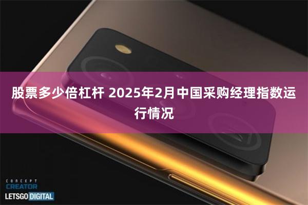 股票多少倍杠杆 2025年2月中国采购经理指数运行情况