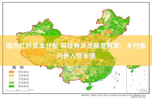 国内杠杆资本分配 科技特派员精准施策，乡村振兴步入快车道